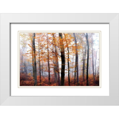 Lost in the Forest White Modern Wood Framed Art Print with Double Matting by Weisz, Irene