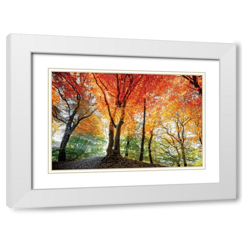Prism of Light White Modern Wood Framed Art Print with Double Matting by Van de Goor, Lars
