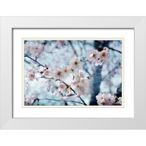 Flowering Joy White Modern Wood Framed Art Print with Double Matting by Weisz, Irene