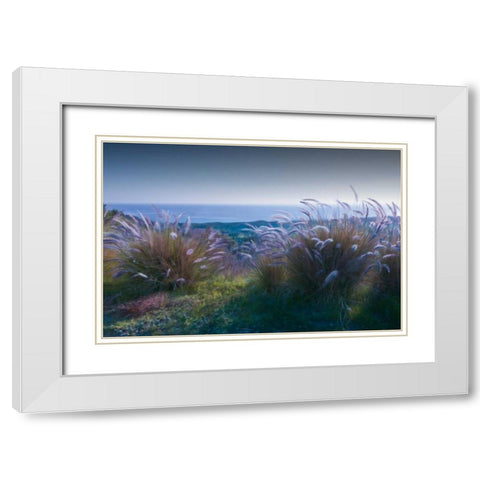 Above Mailbu White Modern Wood Framed Art Print with Double Matting by Calascibetta, Mike