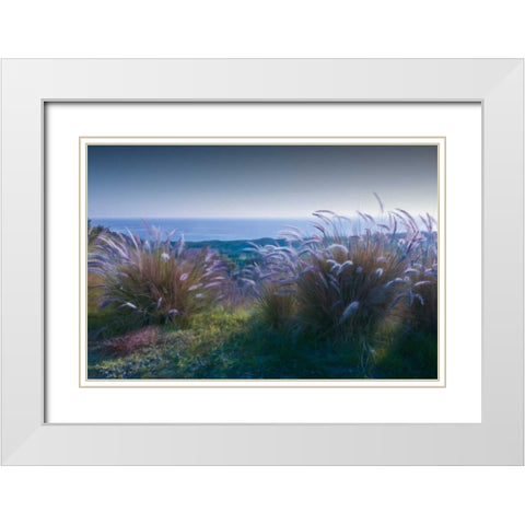 Above Mailbu White Modern Wood Framed Art Print with Double Matting by Calascibetta, Mike