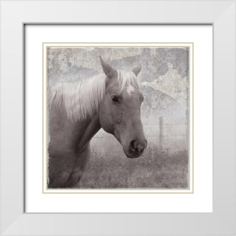 Vintage View I White Modern Wood Framed Art Print with Double Matting by Robinson, Carol