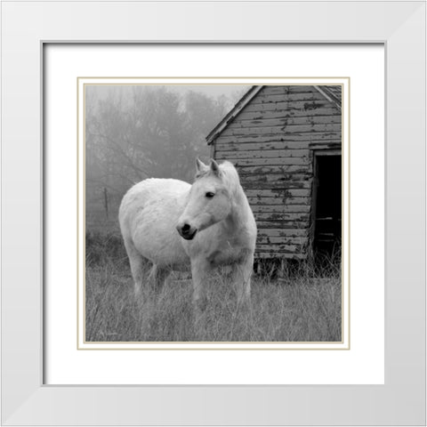 Morning Pasture White Modern Wood Framed Art Print with Double Matting by Robinson, Carol