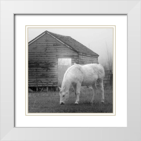 Misty Pasture White Modern Wood Framed Art Print with Double Matting by Robinson, Carol
