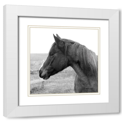Catch Your Eye White Modern Wood Framed Art Print with Double Matting by Robinson, Carol
