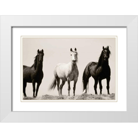 Wild Stallions White Modern Wood Framed Art Print with Double Matting by Delimont, Danita