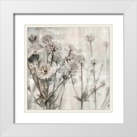 Natural Ones I White Modern Wood Framed Art Print with Double Matting by Weisz, Irene