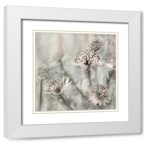 Natural Ones II White Modern Wood Framed Art Print with Double Matting by Weisz, Irene