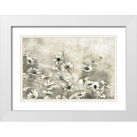 Wild Daisy Meadow I White Modern Wood Framed Art Print with Double Matting by Weisz, Irene