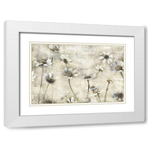 Wild Daisy Meadow II White Modern Wood Framed Art Print with Double Matting by Weisz, Irene
