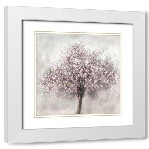 Blossoms of Spring II White Modern Wood Framed Art Print with Double Matting by Weisz, Irene