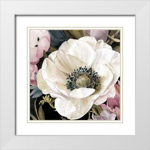 Anemone Study II White Modern Wood Framed Art Print with Double Matting by Robinson, Carol