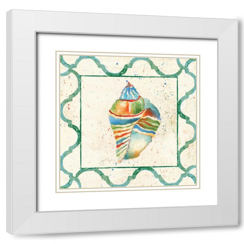 Zebra Conch White Modern Wood Framed Art Print with Double Matting by Tava Studios
