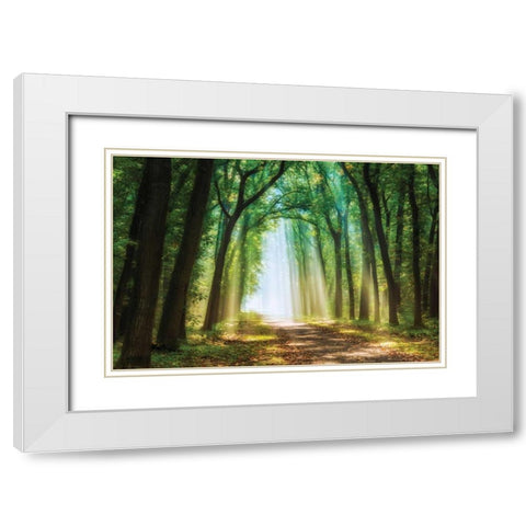 Curtain of White Modern Wood Framed Art Print with Double Matting by Van de Goor, Lars