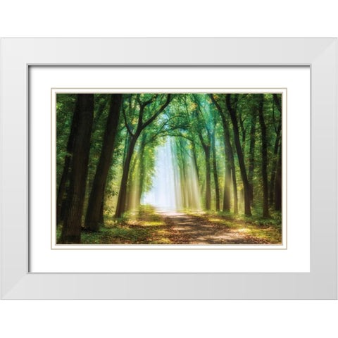 Curtain of White Modern Wood Framed Art Print with Double Matting by Van de Goor, Lars