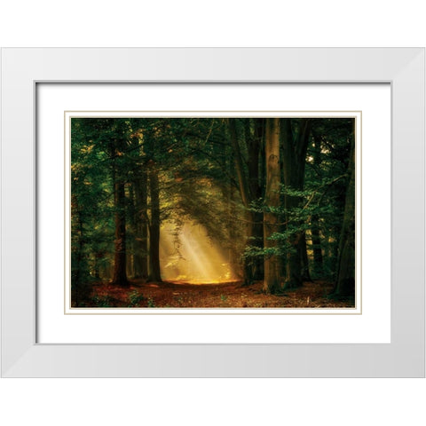 Shine On White Modern Wood Framed Art Print with Double Matting by Van de Goor, Lars