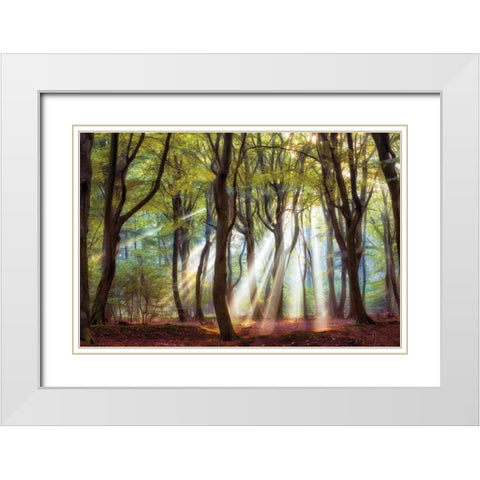 Majestic White Modern Wood Framed Art Print with Double Matting by Van de Goor, Lars
