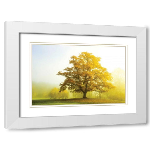 The Sentinel White Modern Wood Framed Art Print with Double Matting by Van de Goor, Lars