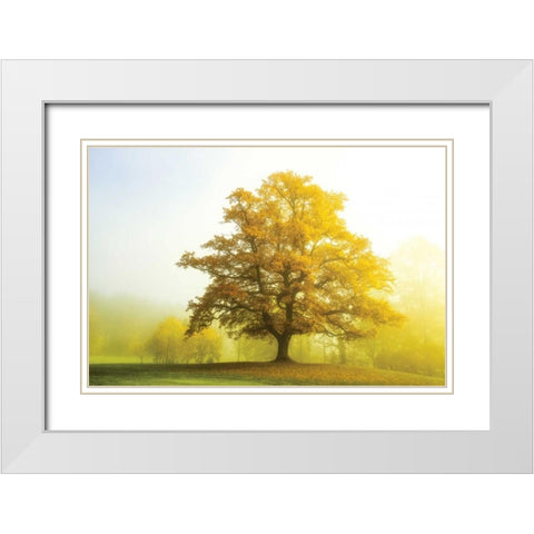 The Sentinel White Modern Wood Framed Art Print with Double Matting by Van de Goor, Lars