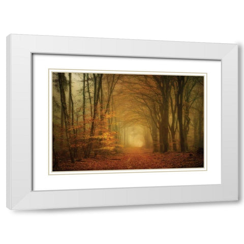 Early Light White Modern Wood Framed Art Print with Double Matting by Van de Goor, Lars