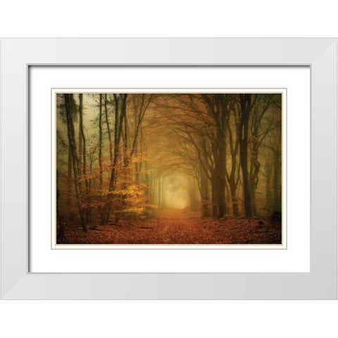 Early Light White Modern Wood Framed Art Print with Double Matting by Van de Goor, Lars