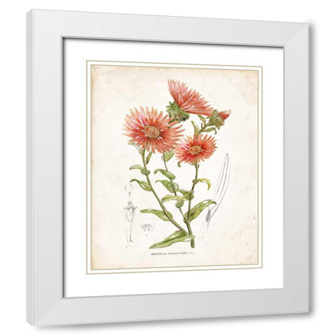 Botanical I White Modern Wood Framed Art Print with Double Matting by Nan