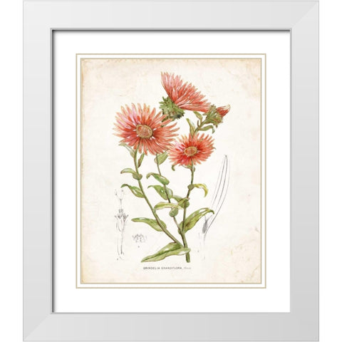 Botanical I White Modern Wood Framed Art Print with Double Matting by Nan