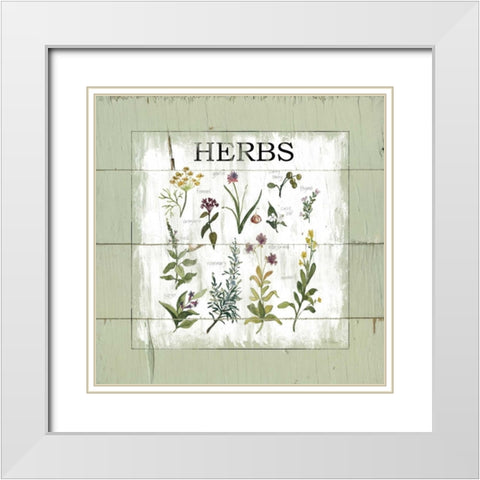 Shiplap Herbs White Modern Wood Framed Art Print with Double Matting by Robinson, Carol