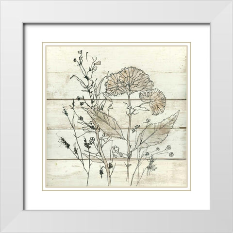 Dried Flower Study White Modern Wood Framed Art Print with Double Matting by Robinson, Carol