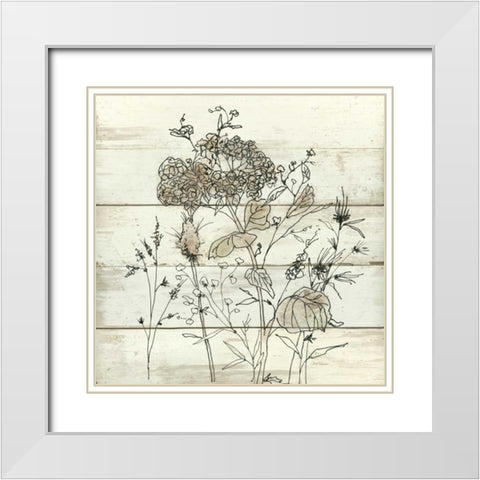 Dried Flower Study White Modern Wood Framed Art Print with Double Matting by Robinson, Carol