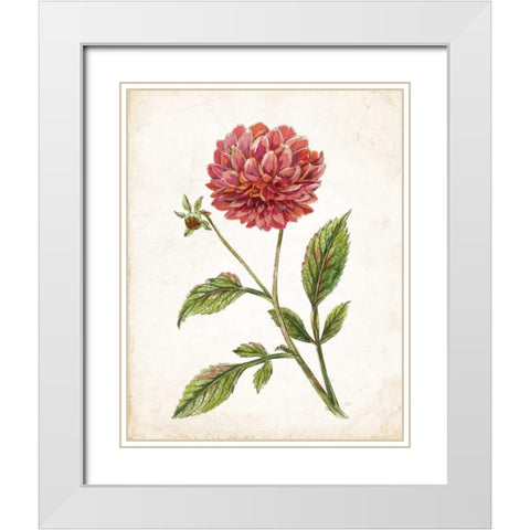 Scarlet Botanical I White Modern Wood Framed Art Print with Double Matting by Nan