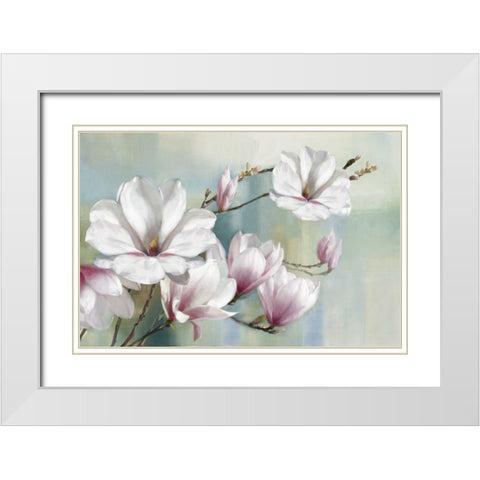 Magnolia Blooms White Modern Wood Framed Art Print with Double Matting by Daniels, Rogier