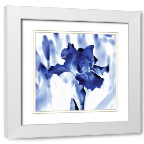 Blue Ice Iris White Modern Wood Framed Art Print with Double Matting by Donovan, Kelly