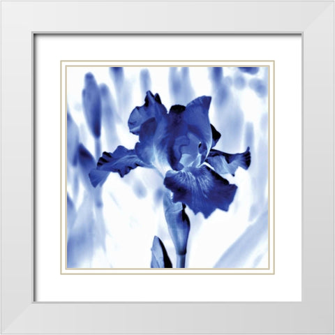 Blue Ice Iris White Modern Wood Framed Art Print with Double Matting by Donovan, Kelly