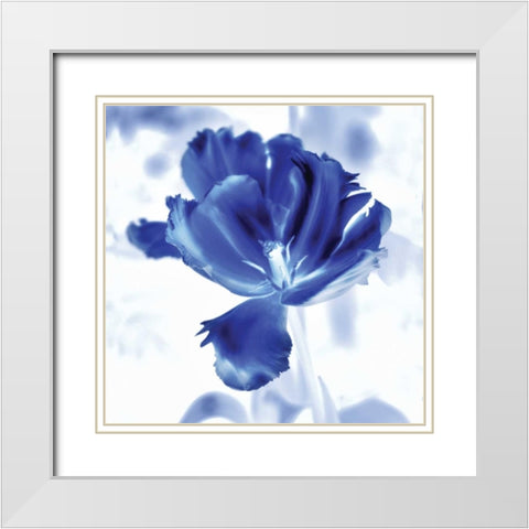 Blue Ice Tulip White Modern Wood Framed Art Print with Double Matting by Donovan, Kelly