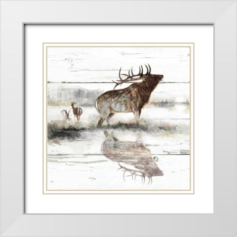 Rustic Misty Elk White Modern Wood Framed Art Print with Double Matting by Manning, Ruane