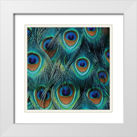 All For Show White Modern Wood Framed Art Print with Double Matting by Delimont, Danita