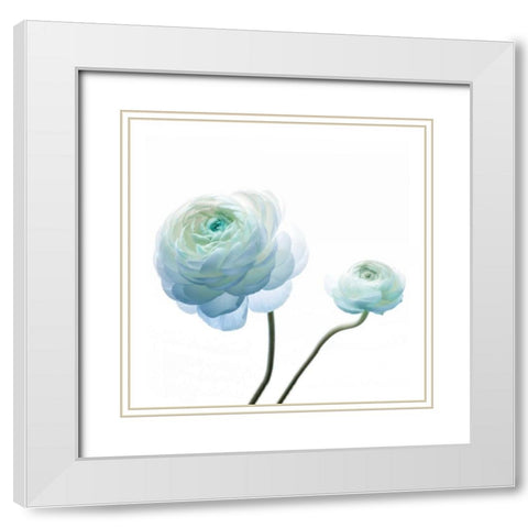 Gorgeous Blue I White Modern Wood Framed Art Print with Double Matting by Delimont, Danita