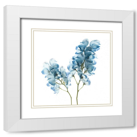 Gorgeous Blue II White Modern Wood Framed Art Print with Double Matting by Delimont, Danita