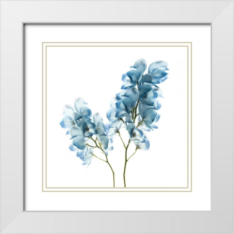 Gorgeous Blue II White Modern Wood Framed Art Print with Double Matting by Delimont, Danita