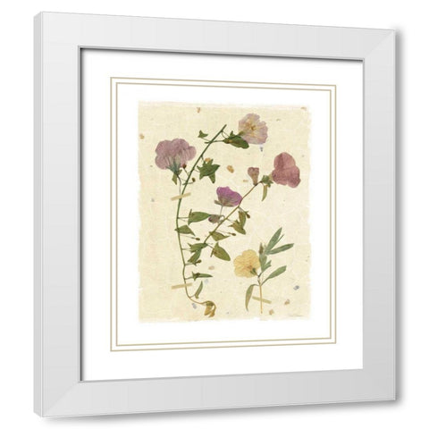 Pressed Morning White Modern Wood Framed Art Print with Double Matting by Robinson, Carol