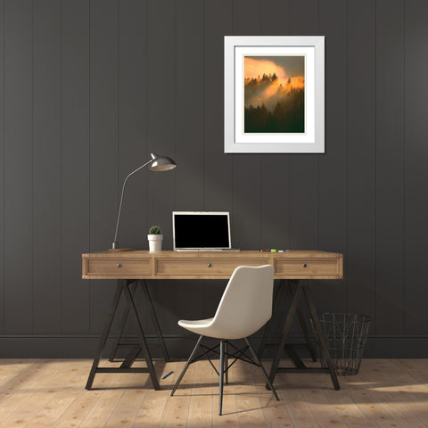 Morning Amber White Modern Wood Framed Art Print with Double Matting by Delimont, Danita