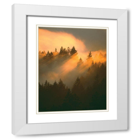 Morning Amber White Modern Wood Framed Art Print with Double Matting by Delimont, Danita