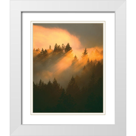 Morning Amber White Modern Wood Framed Art Print with Double Matting by Delimont, Danita