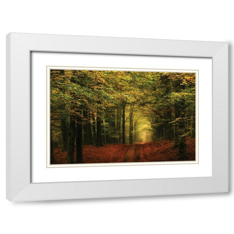 A Forest Path White Modern Wood Framed Art Print with Double Matting by Van de Goor, Lars
