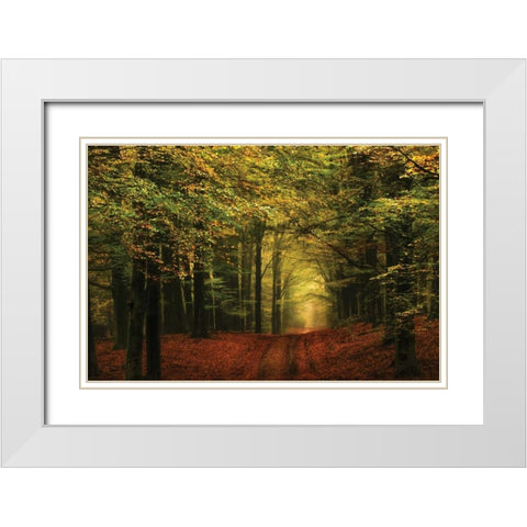 A Forest Path White Modern Wood Framed Art Print with Double Matting by Van de Goor, Lars
