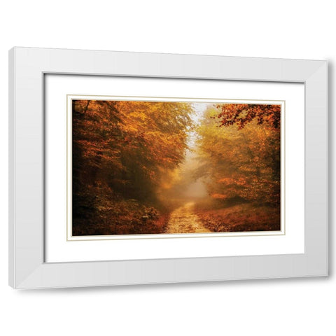 Autumnal Walk White Modern Wood Framed Art Print with Double Matting by Van de Goor, Lars