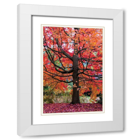 Marvelous Maple White Modern Wood Framed Art Print with Double Matting by Van de Goor, Lars
