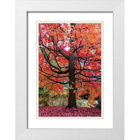 Marvelous Maple White Modern Wood Framed Art Print with Double Matting by Van de Goor, Lars