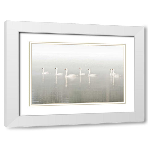 Seven Swans White Modern Wood Framed Art Print with Double Matting by Van de Goor, Lars